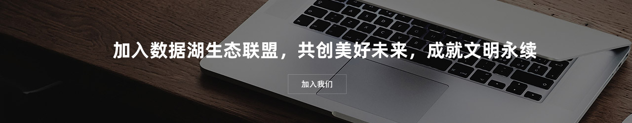 数据湖生态联盟
